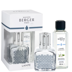 4762_pack_lampe_glacon_gingko_250ml_delicat-musc-blanc_800x800_f5a01476-1b42-40bd-a0bc-fbcdafbc24d2_2048x_1